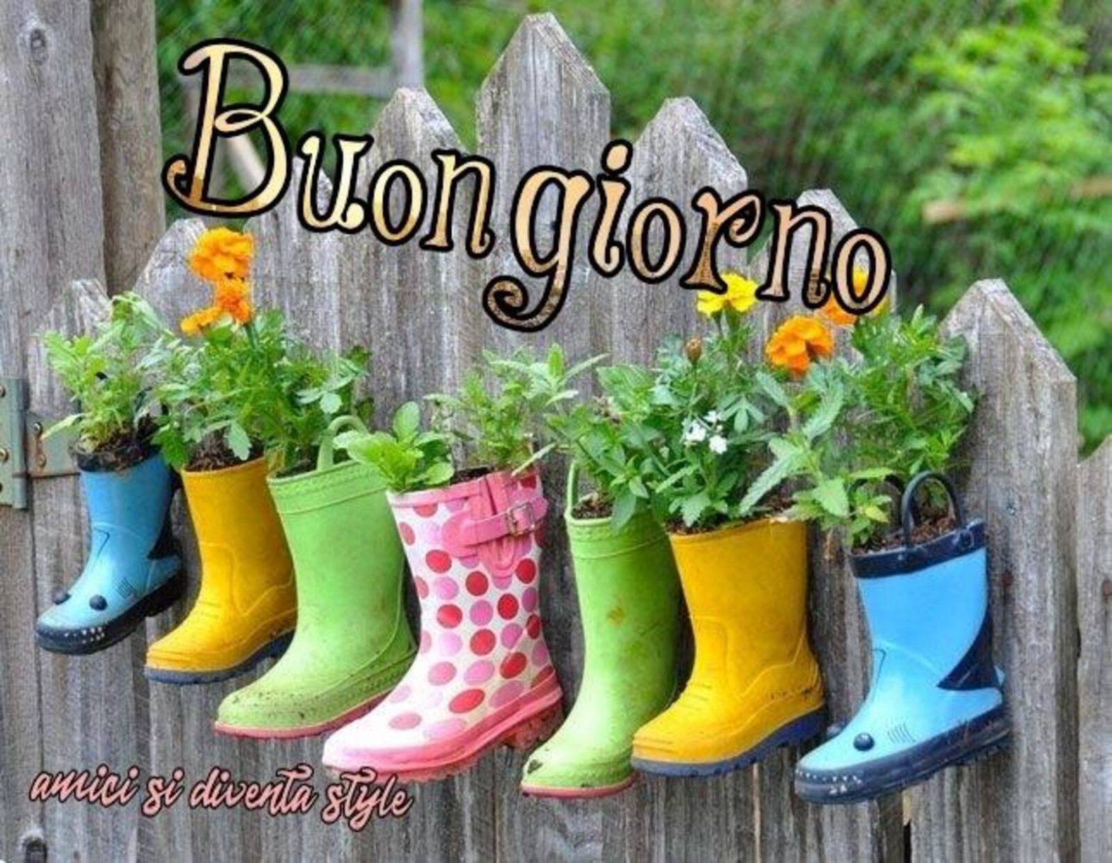 58+ Link Del Buon Giorno Per WhatsApp - BuongiornoMattinieri.it