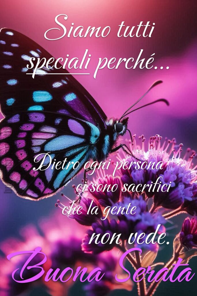 Una bellissima frase di buona serata, sullo sfondo una farfalla dai colori viola e blu si posa su dei fiorellini, di sera.