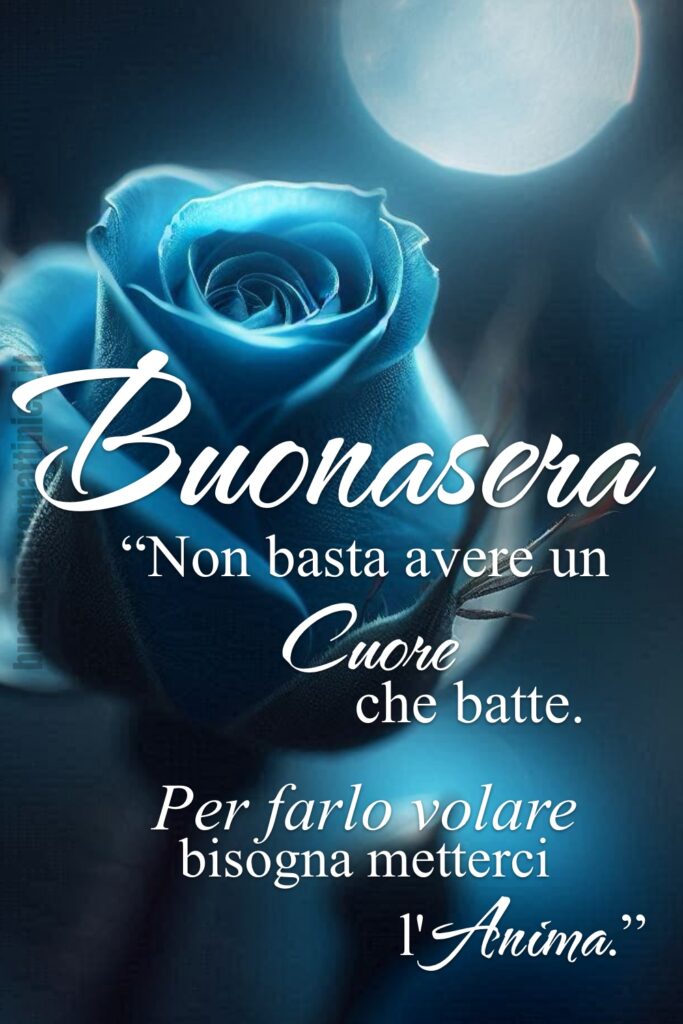 Immagine di buonasera con frase bellissima sull'anima; sullo sfondo una rosa blu, illuminata dalla luna.